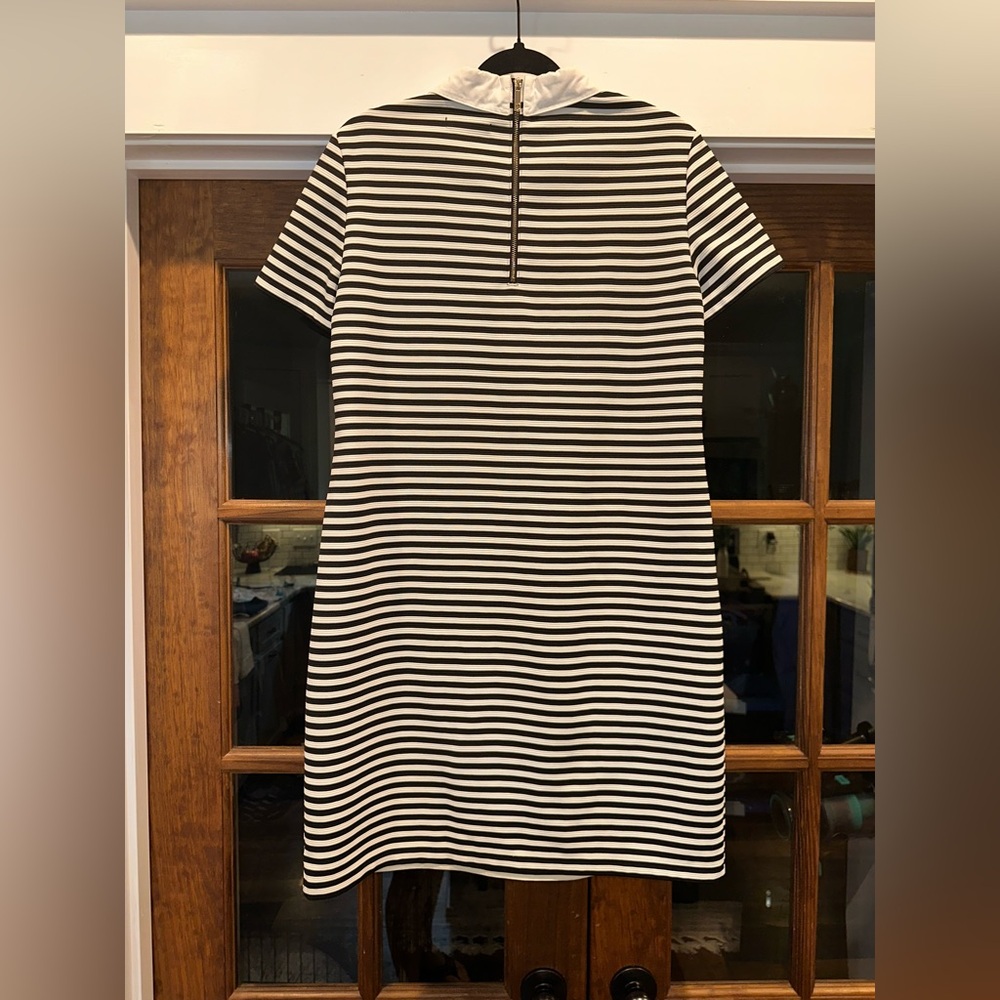 EUC Tommy Hilfiger Size Large Striped Black and White Collar Dress - Picture 6 of 11